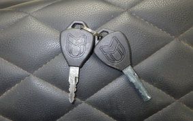 OTHER +UNREGISTERED MODEL by BDS250