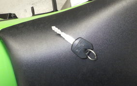 KAWASAKI NINJA 250 2017 EX250L