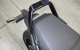 HUSQVARNA SVARTPILEN 401 2024