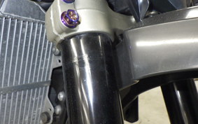 YAMAHA WR250X 2022 DG15J