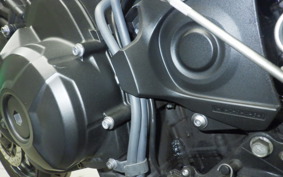 YAMAHA XSR900 2019 RN56J