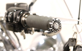 HARLEY FLSTF 2015 BX5