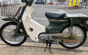 HONDA SUPER CUB50 C50