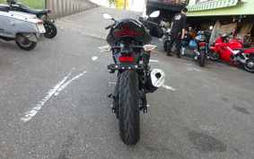KAWASAKI NINJA 250 EX250P