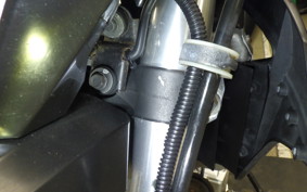 KAWASAKI KLX250D TRACKER X 2008 LX250V