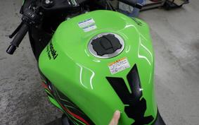 KAWASAKI NINJA ZX-6R A 2024 ZX636J