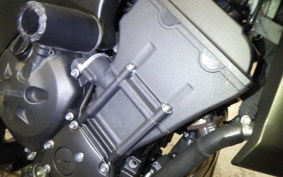 YAMAHA FZ1 FAZER 2009