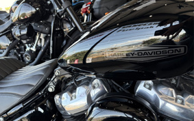HARLEY FXST1340-1450 2020 BVJ