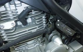 YAMAHA ｾﾛ-250-3 DG31J