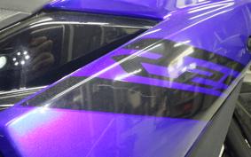YAMAHA YZF-R25 2014 RG43J