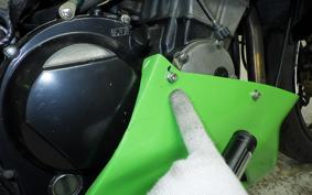 KAWASAKI XANTHUS 1994 ZR400D