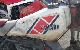 YAMAHA TY250 53Y