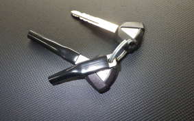 KAWASAKI NINJA 1000 SX 2025 ZXT02K