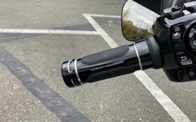 HARLEY FLHXSE SG CVO 2024 PX6