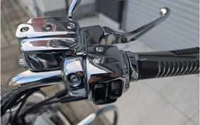 HARLEY FXDL1580 2008 GN4