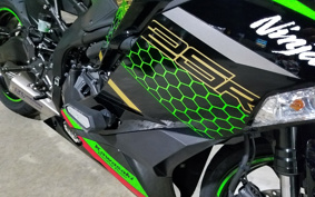 KAWASAKI NINJA ZX-25R SE ZX250E