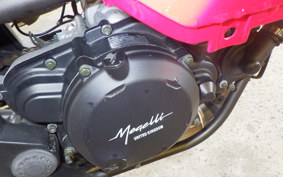 OTHER +メガリ250R