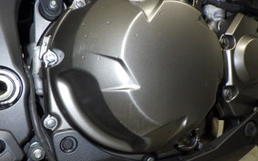 KAWASAKI VERSYS 1000 2016