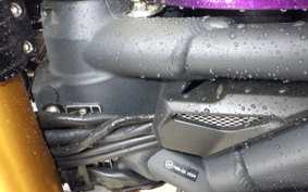 TRIUMPH STREET TRIPLE