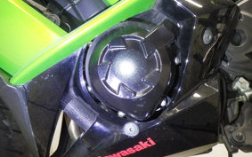 KAWASAKI NINJA 1000 2011