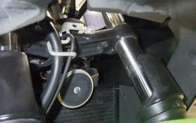 KAWASAKI NINJA 250 SL BX250A