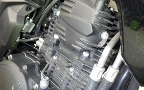 YAMAHA FZS25A