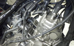 YAMAHA TDR250 2025 2YK