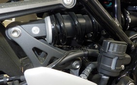 KAWASAKI Z900RS 2022 ZR900C