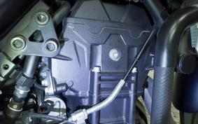 YAMAHA MT-25 A RG74J