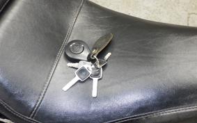 HARLEY FLSB 1750 2023