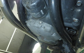 KAWASAKI W800 CAFE 2022 EJ800E