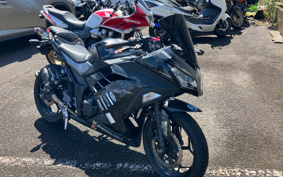 KAWASAKI NINJA 250 EX250L