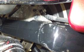 HARLEY FLHR 1450 2004