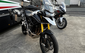 TRIUMPH TIGER 1200 RALLY PRO 2024 TAP20V