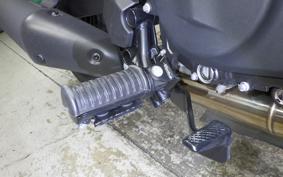KAWASAKI ELIMINATOR400-3SE 2024 EL400A