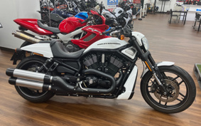 HARLEY HARLEY VRSCDX1250 2017 HHH