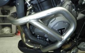 TRIUMPH TIGER 900 GT PRO 2021