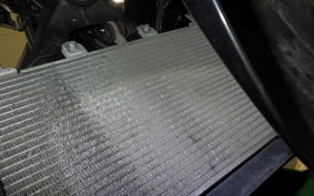 KAWASAKI NINJA 250 2002 EX250P