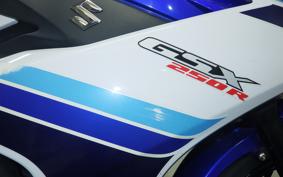 SUZUKI GSX250R