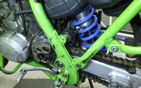 KAWASAKI KDX200SR Gen.2 DX200G