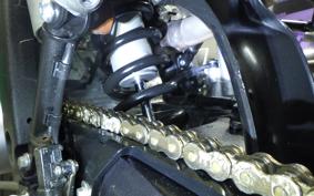 YAMAHA WR250X DG15J