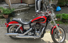 HARLEY FXDL1580 2011 GN4