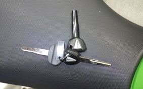 KAWASAKI NINJA 250 2018 EX250P