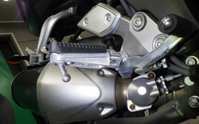 YAMAHA FZ1 FAZER 2016 RN21J