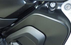 BMW R1300GS 2024