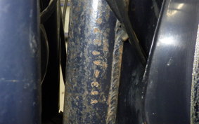 YAMAHA YD3 2022 Y13