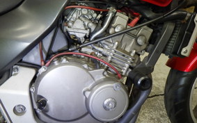 HONDA HORNET 250 MC31