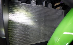 KAWASAKI NINJA 250 2 2021 EX250P