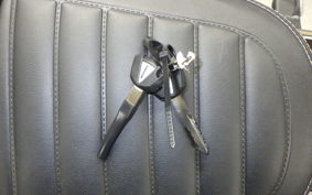 KAWASAKI Z900RS 2025 ZR900K