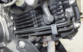 KAWASAKI Z125 PRO 2013 BR125H